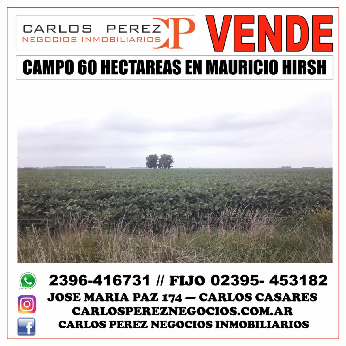 CAMPO EN VENTA 60 HECT. EN HIRSCH - 1