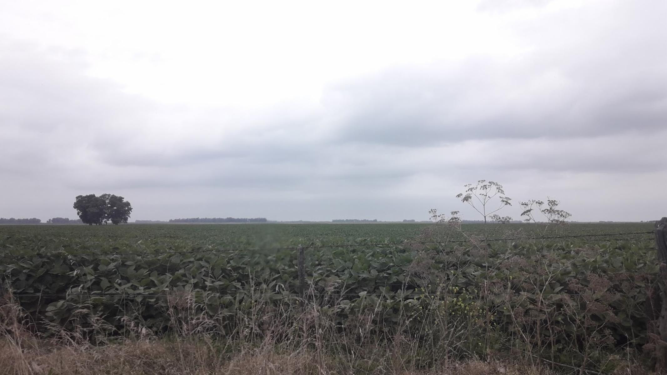 CAMPO EN VENTA 60 HECT. EN HIRSCH - 2