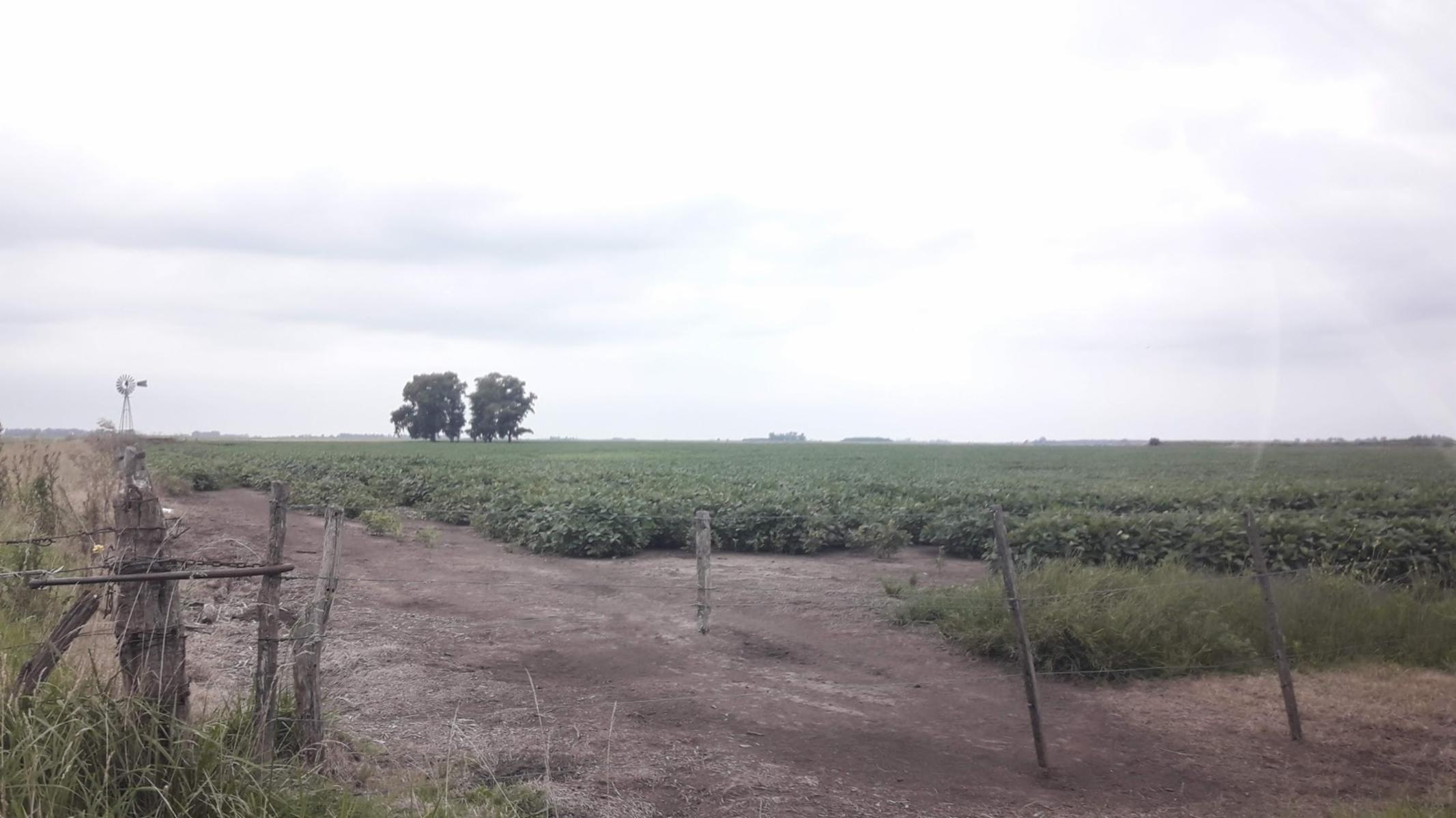 CAMPO EN VENTA 60 HECT. EN HIRSCH - 3