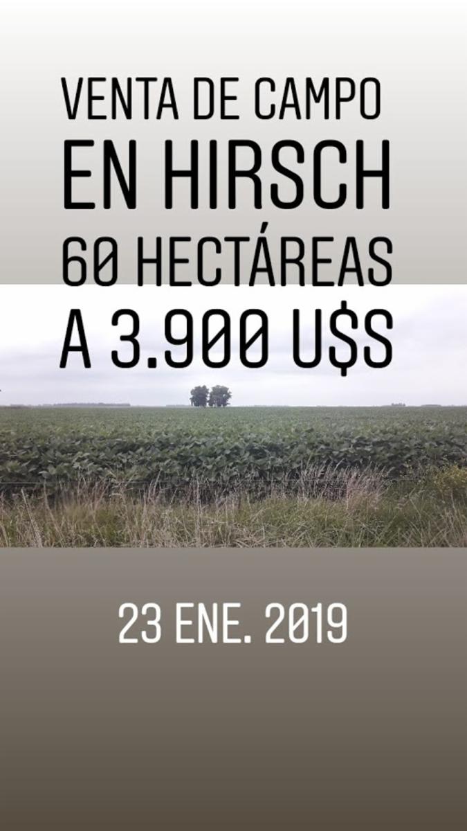 CAMPO EN VENTA 60 HECT. EN HIRSCH - 5