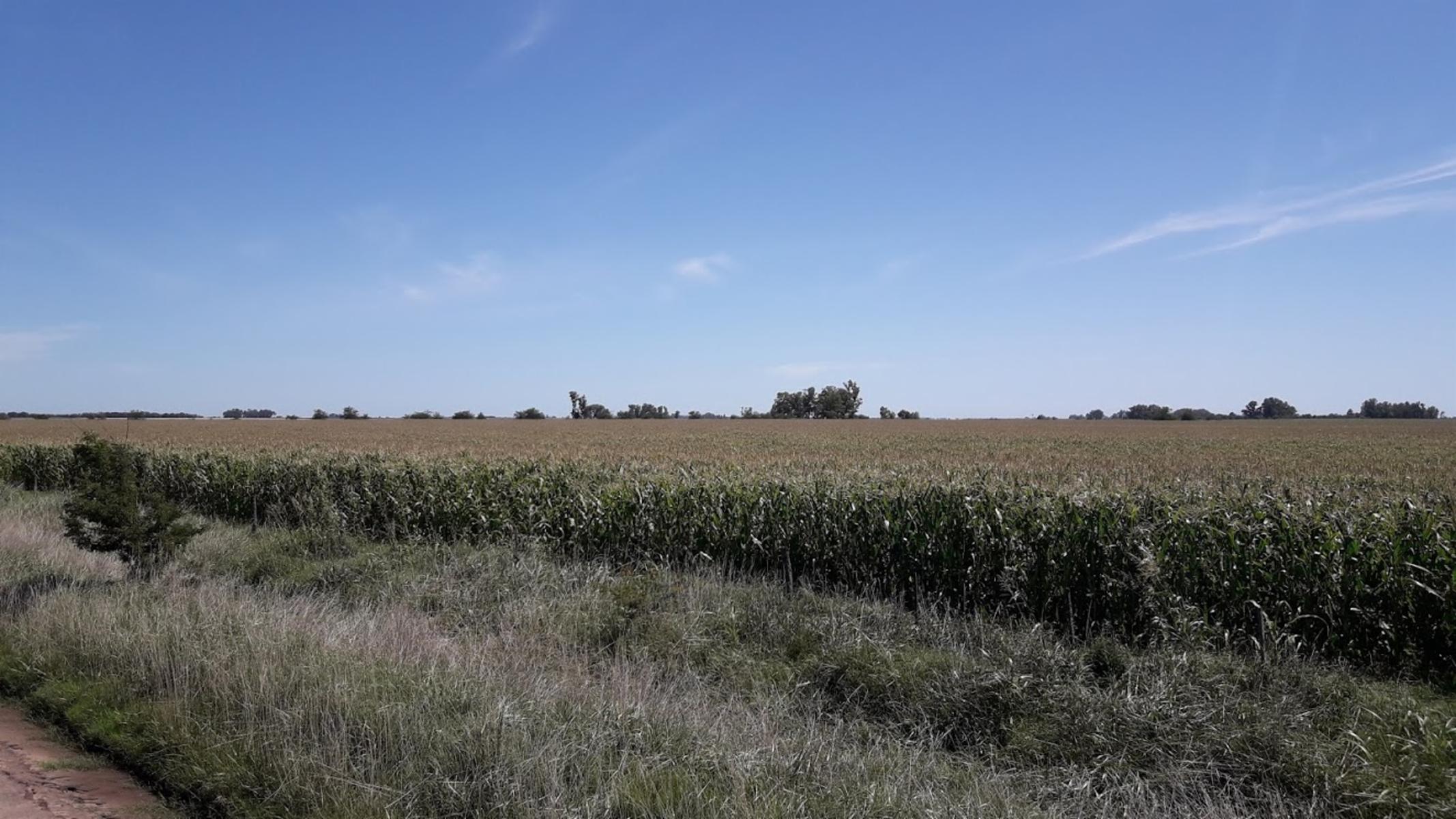 CAMPO 46 HECT. 100 AGRÍCOLAS EN SMITH. - 2