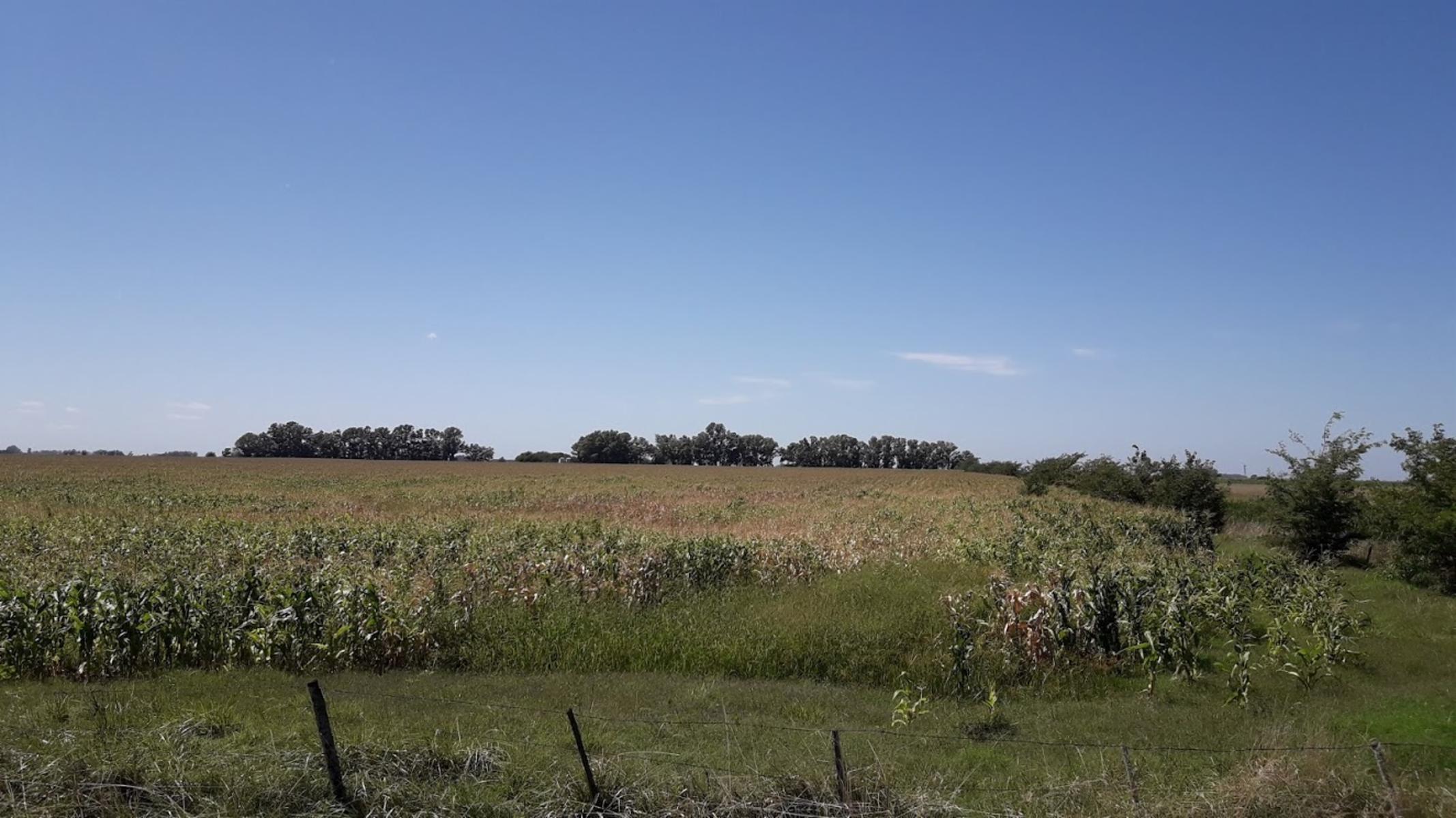 CAMPO 46 HECT. 100 AGRÍCOLAS EN SMITH. - 4