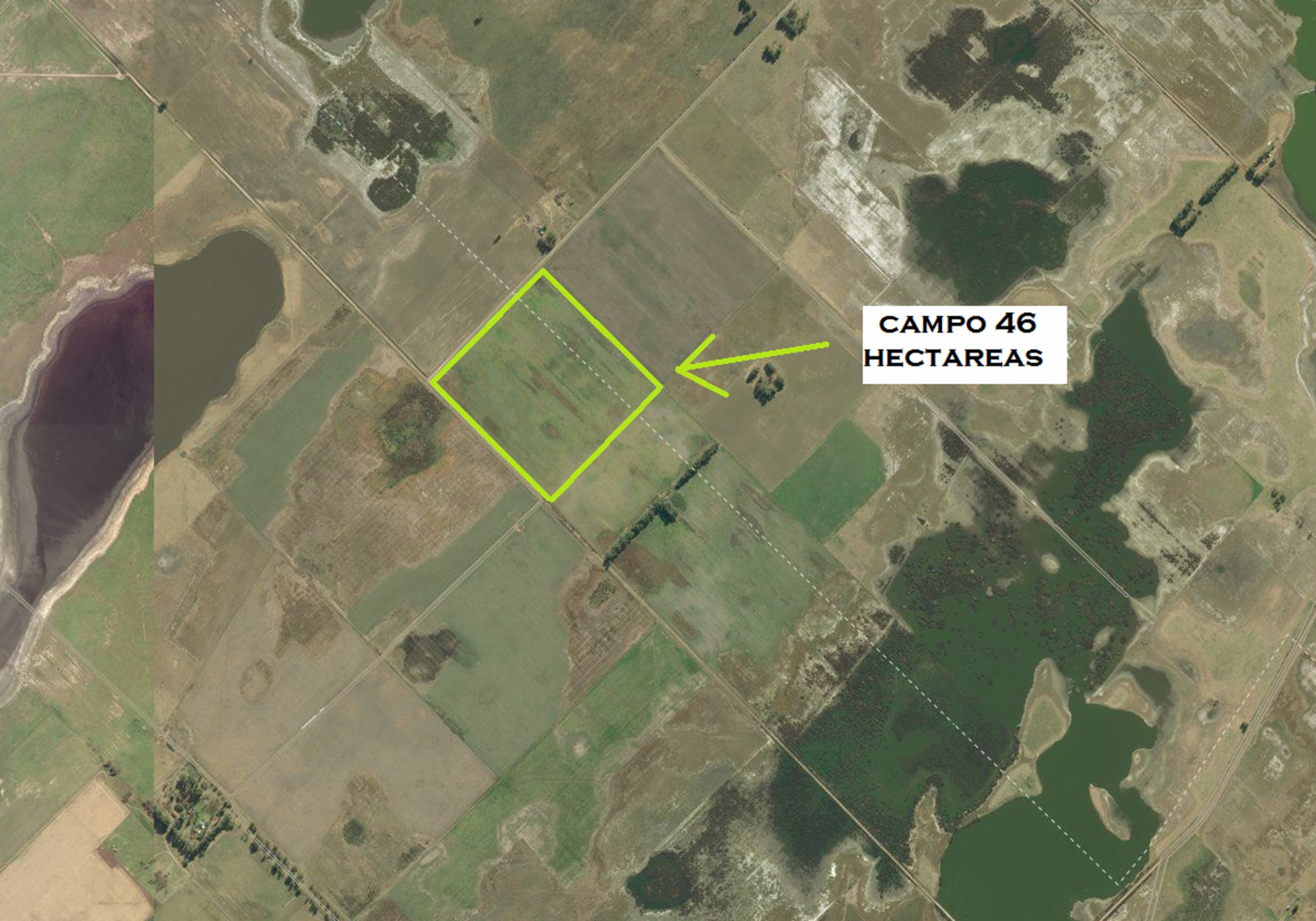 CAMPO 46 HECT. 100 AGRÍCOLAS EN SMITH. - 5
