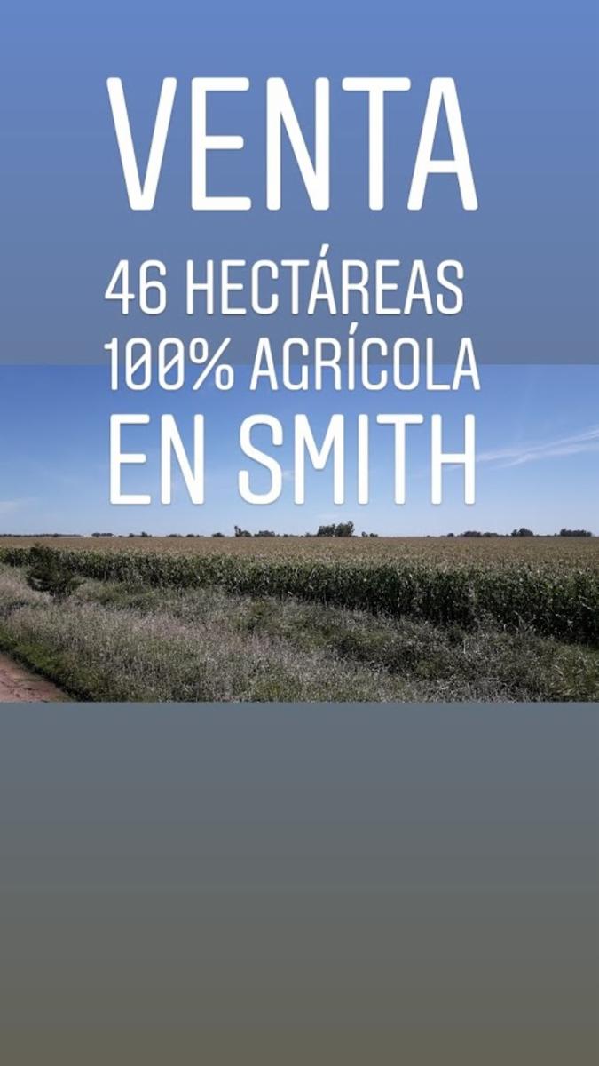 CAMPO 46 HECT. 100 AGRÍCOLAS EN SMITH. - 6