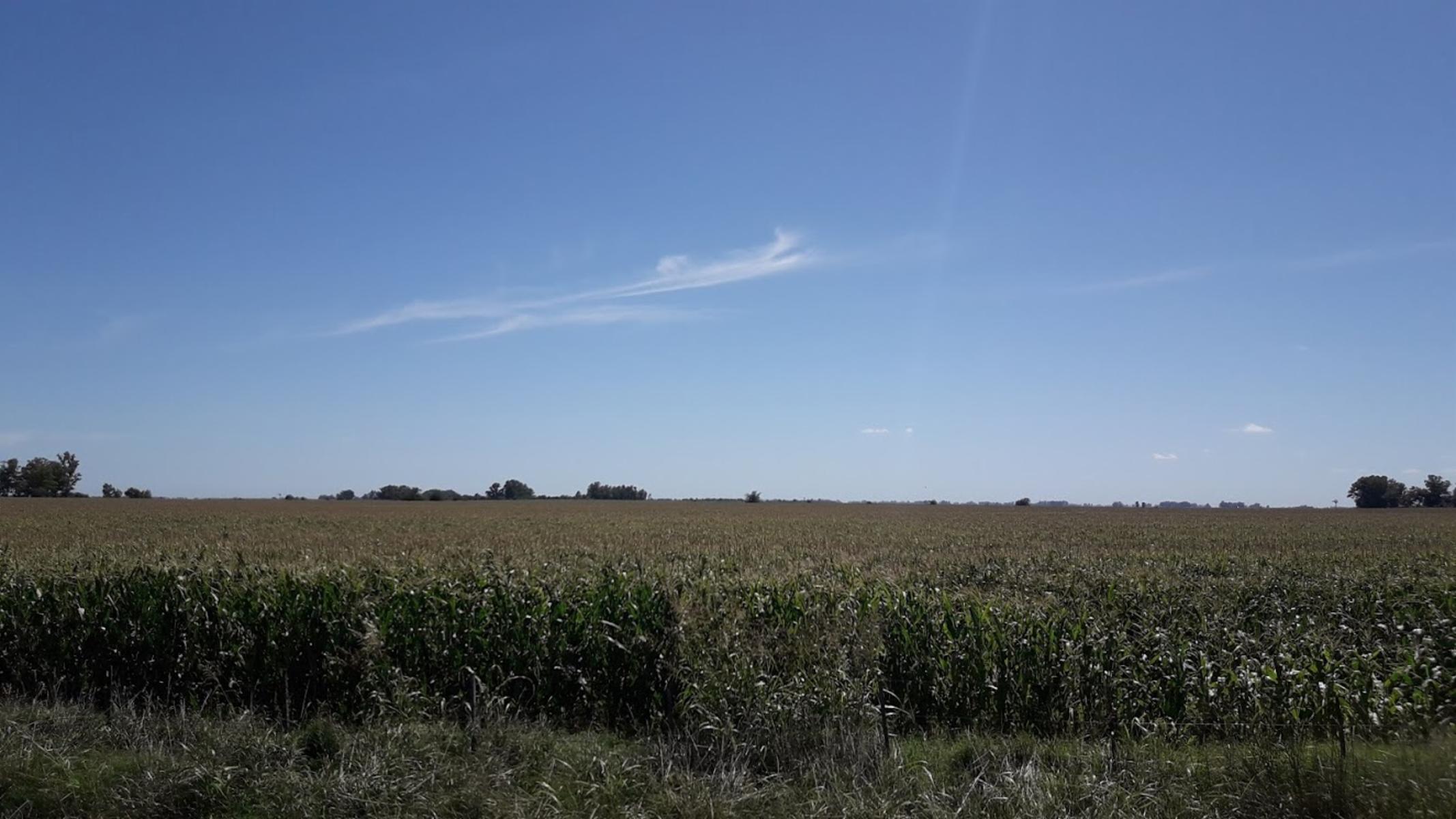 CAMPO 46 HECT. 100 AGRÍCOLAS EN SMITH. - 7