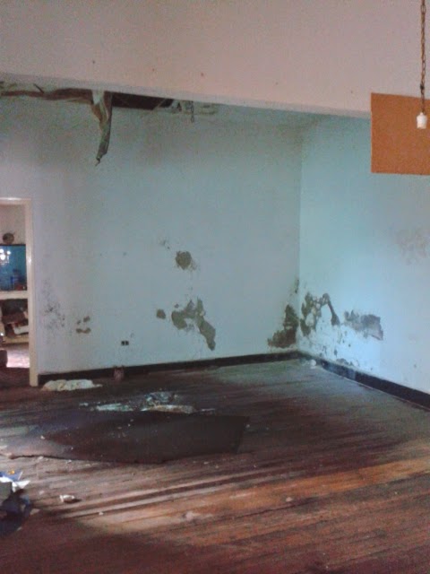 VENTA DE CASA EN PLENO CENTRO, LOTE 13 X 50 mts, CARLOS CASARES - 2