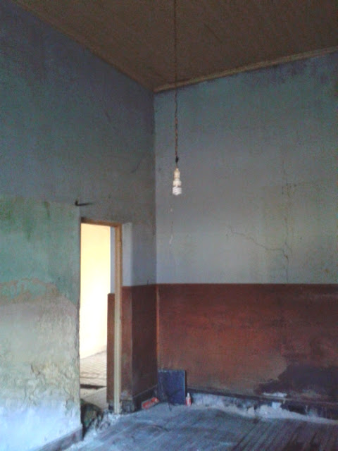 VENTA DE CASA EN PLENO CENTRO, LOTE 13 X 50 mts, CARLOS CASARES - 6