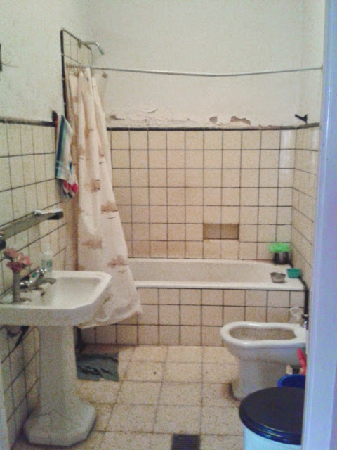 VENTA DE CASA EN PLENO CENTRO, LOTE 13 X 50 mts, CARLOS CASARES - 7