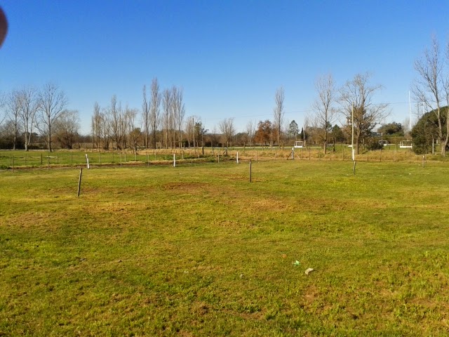 VENTA DE LOTES APTOS PARA CREDITO PROCREAR EN CARLOS CASARES - 4