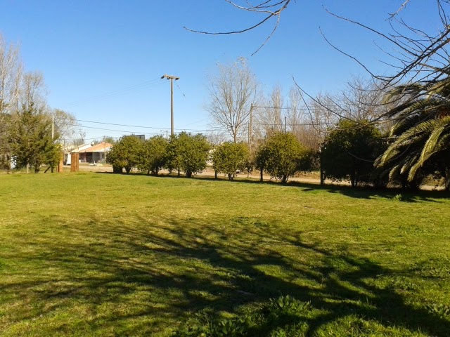 VENTA DE LOTES APTOS PARA CREDITO PROCREAR EN CARLOS CASARES - 6