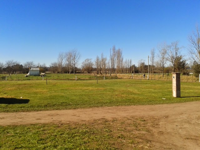 VENTA DE LOTES APTOS PARA CREDITO PROCREAR EN CARLOS CASARES - 12