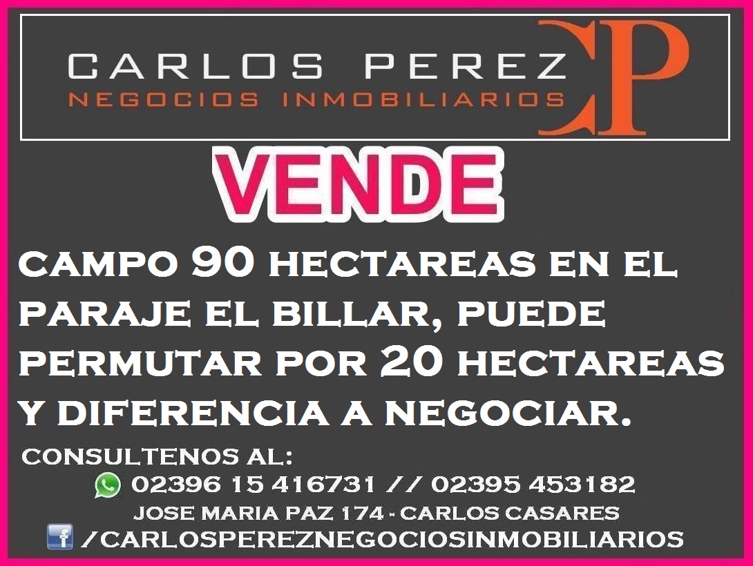 CAMPO 90 HECTAREAS EN EL PARAJE EL BILLAR, CARLOS CASARES - 1