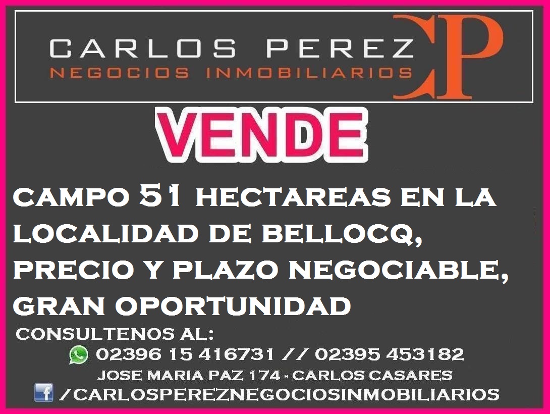 CAMPO DE 51 HECTAREAS EN BELLOCQ - 1