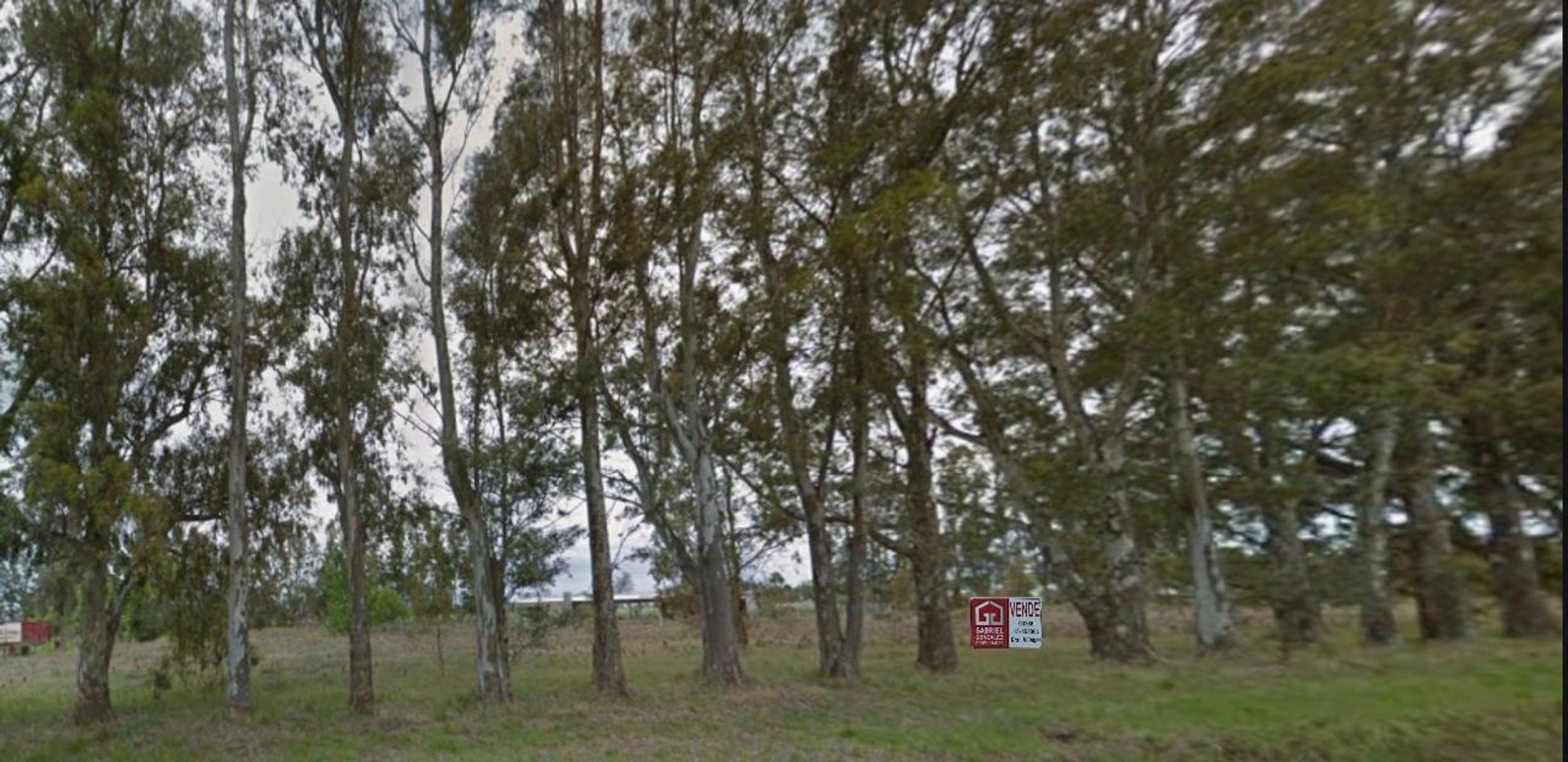 Lote de 2264 m2. Zona de Quintas