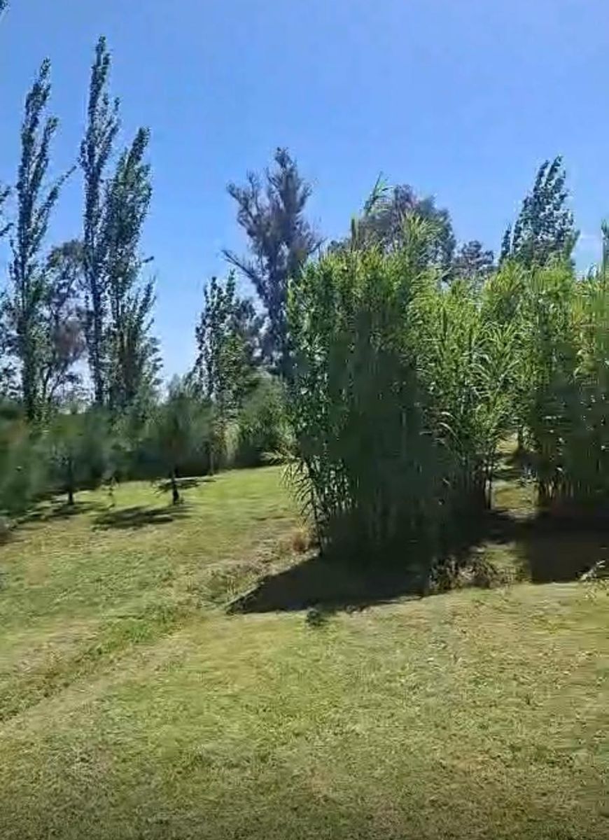 Excelente galpón. Ubicado en Elordi. - 6