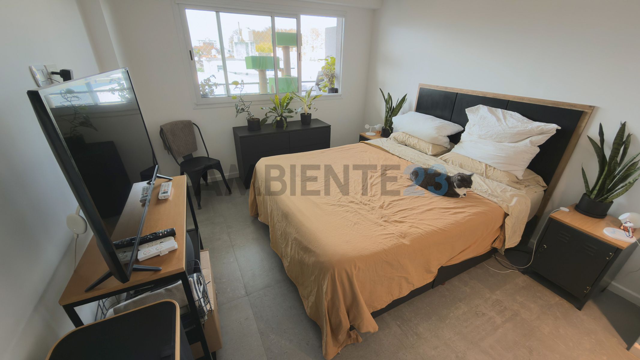 Lugones 4600 - Departamento de 2 ambientes super amplio - Saavedra - 13