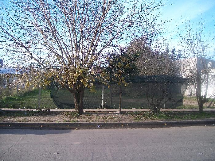Terreno en Venta en Centro Agrícola el Pato, Berazategui, Buenos Aires — foto 3