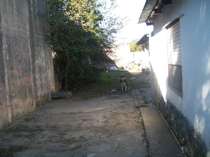 Casa en Venta en Juan María Gutierrez, Berazategui, Buenos Aires — foto 7