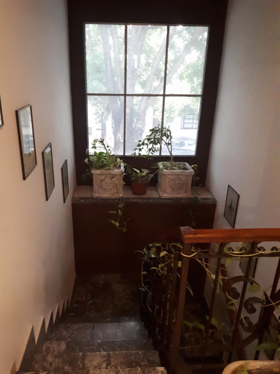 2 Propiedades unidas con Lotes de 12,07 x 24,05 y 9,02 x 24,06. Ideal Uso Comercial y Vivienda - 35