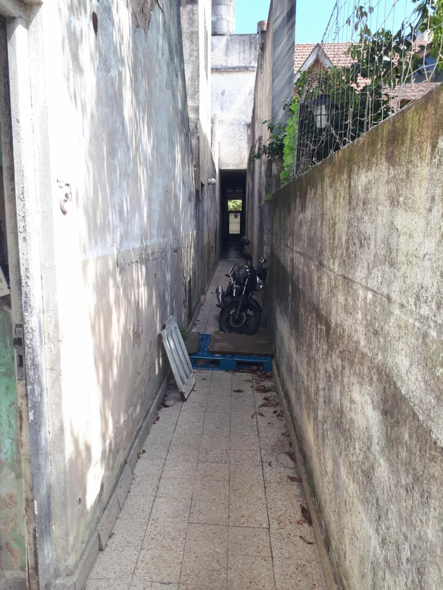 Lote 8,66 x 55 Galpón y 3 deptos por pasillo - 3