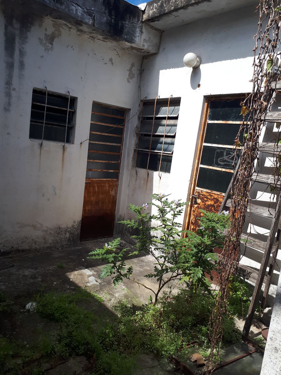 Lote 8,66 x 55 Galpón y 3 deptos por pasillo - 7