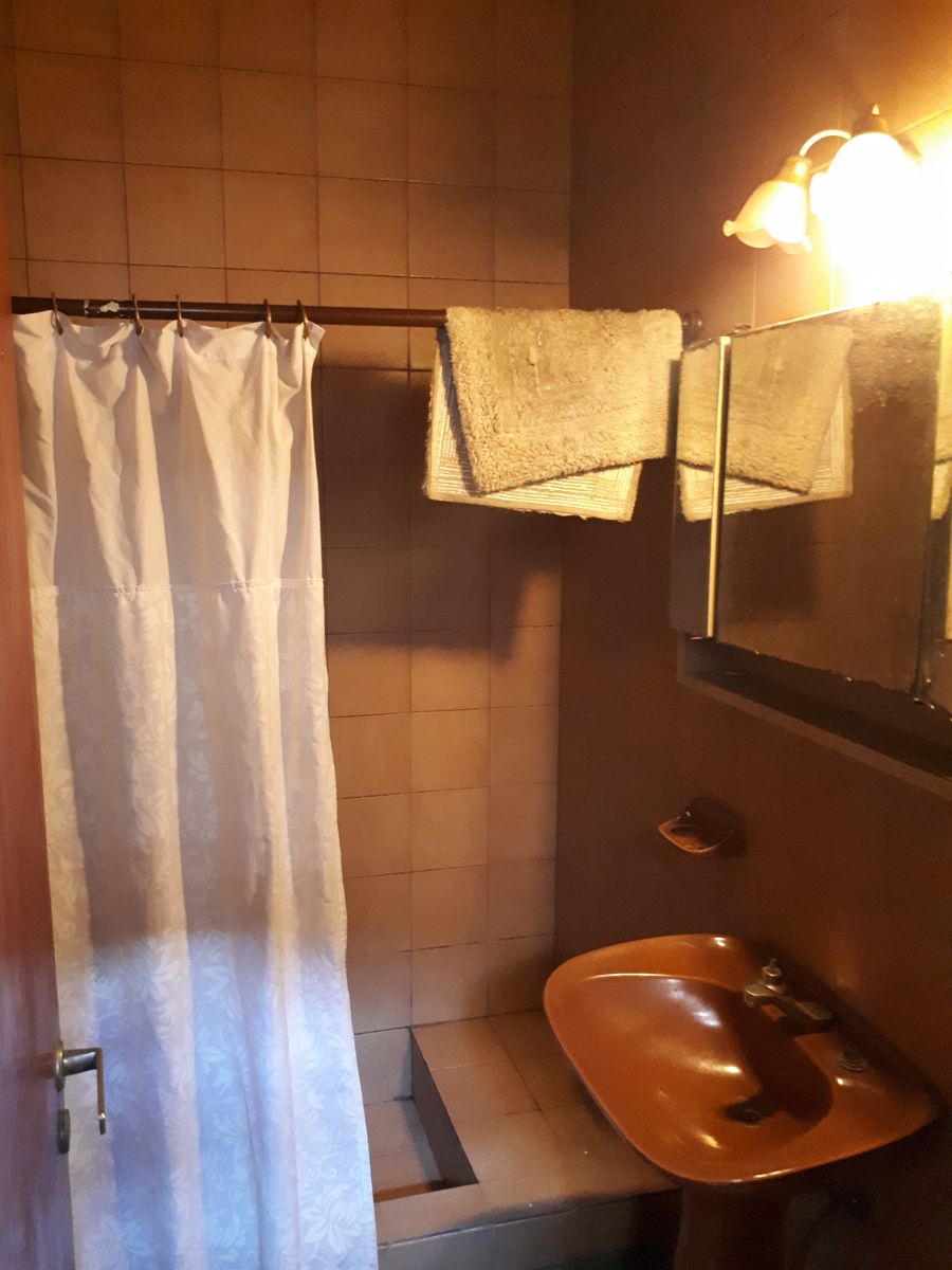 Lote 8,66 x 55 Galpón y 3 deptos por pasillo - 11