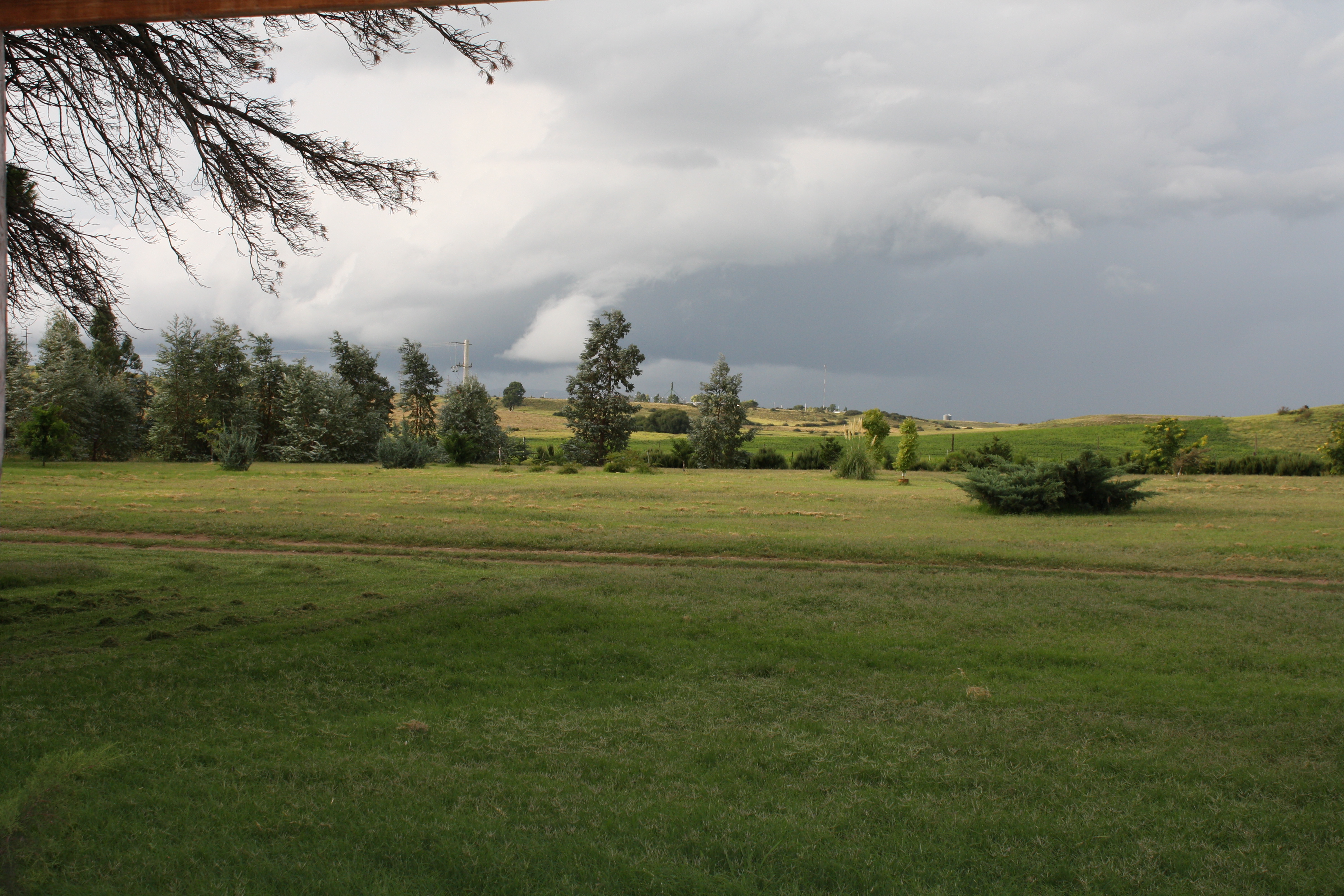 EN VENTA COTO DE CAZA. PCIA DE BUENOS AIRES-SIERRA DE LA VENTANA &quotCON ALTERNATIVA DE CRÍA DE GANADO BOVINO&quot - 16