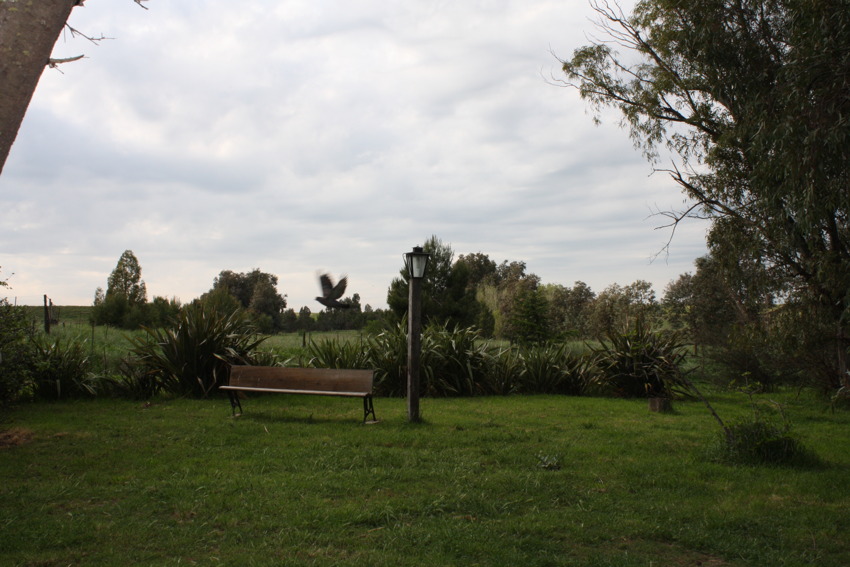 EN VENTA COTO DE CAZA. PCIA DE BUENOS AIRES-SIERRA DE LA VENTANA &quotCON ALTERNATIVA DE CRÍA DE GANADO BOVINO&quot - 18