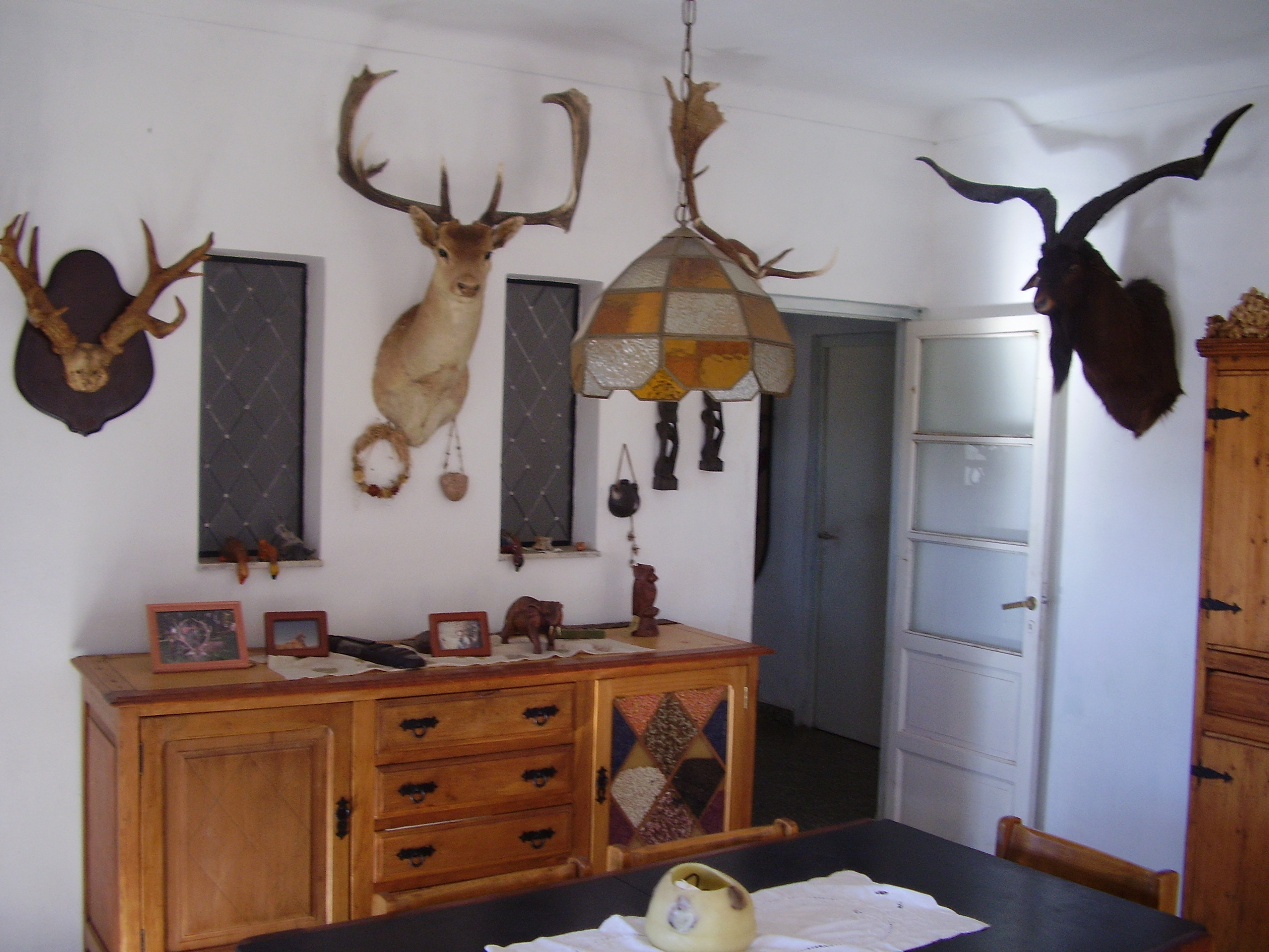 EN VENTA COTO DE CAZA. PCIA DE BUENOS AIRES-SIERRA DE LA VENTANA &quotCON ALTERNATIVA DE CRÍA DE GANADO BOVINO&quot - 27