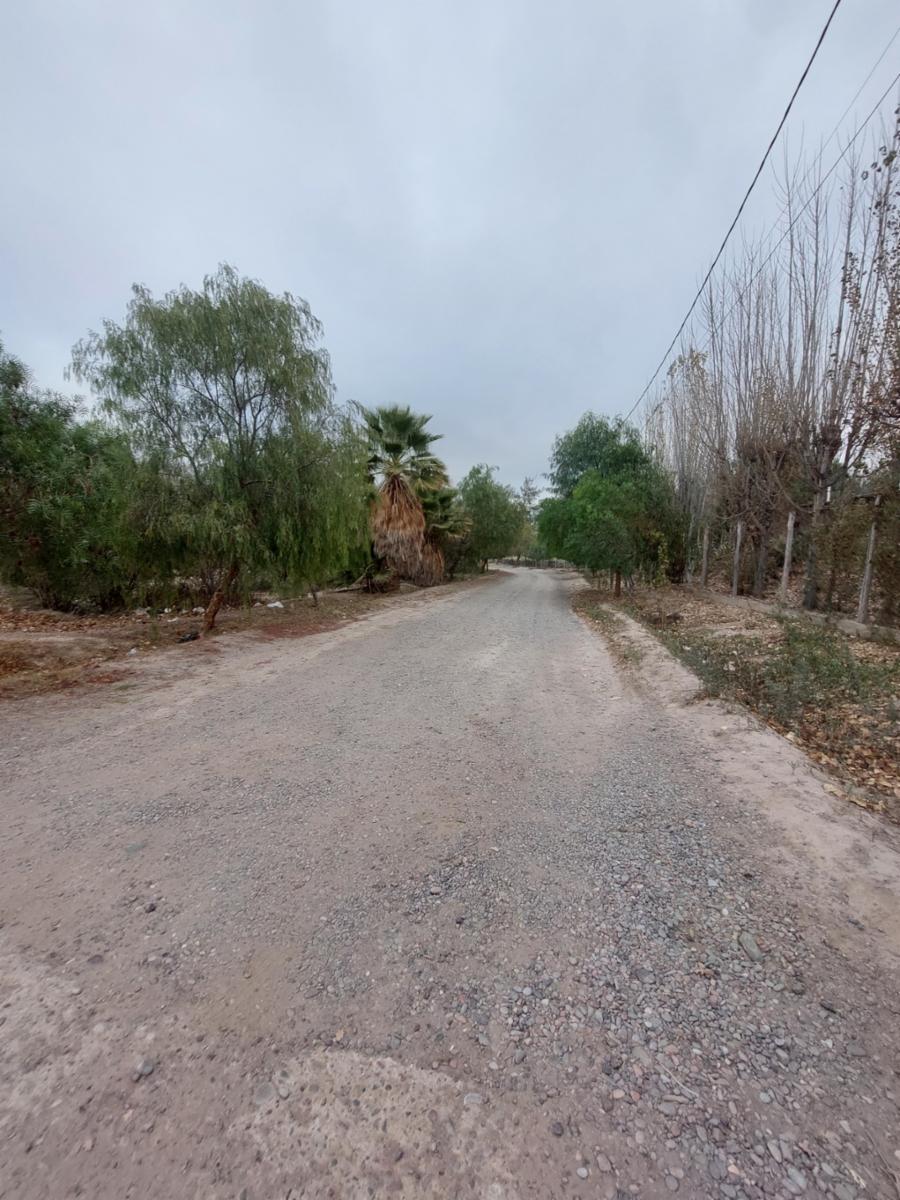 Terreno en Venta en Villa Ibáñez, Ullum, San Juan - 5