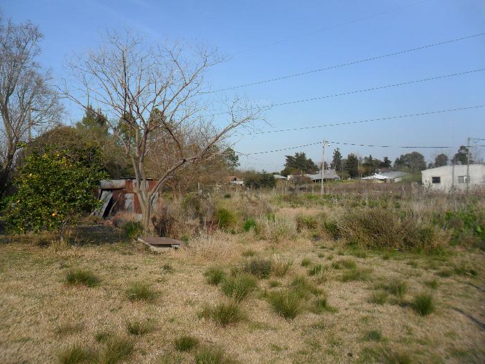 Casa en Venta en Concepción del Uruguay, Uruguay, Entre Ríos — foto 5