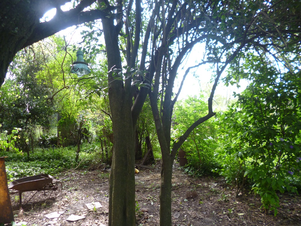 VENTA DE LOTE - 2