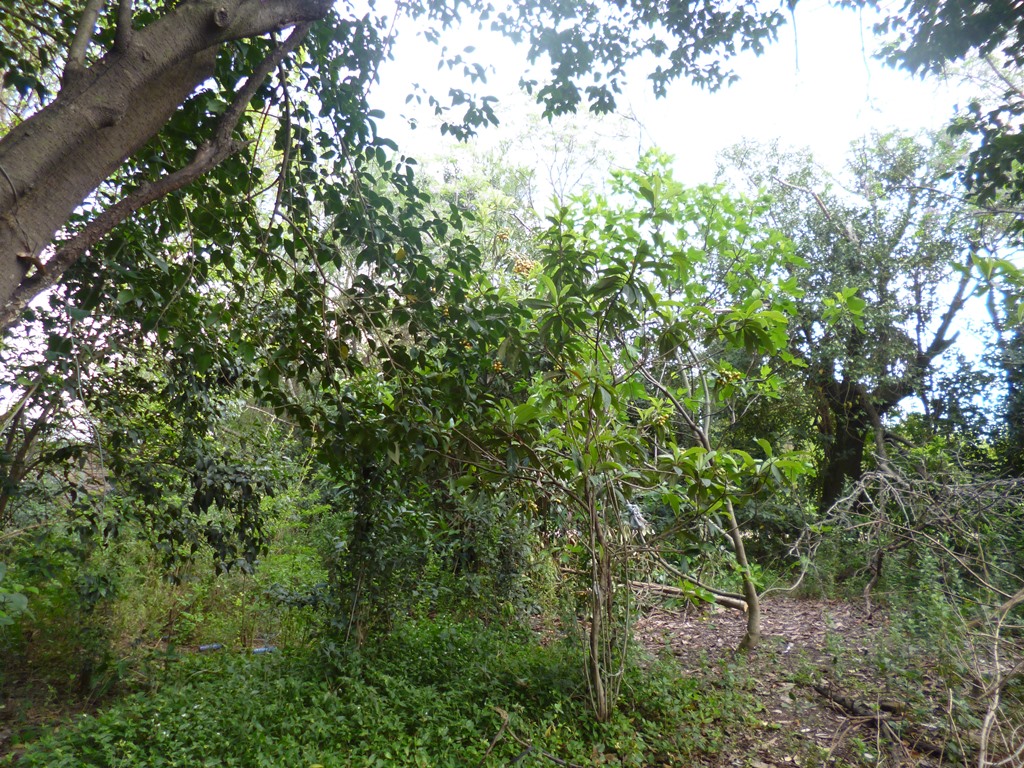 VENTA DE LOTE - 4
