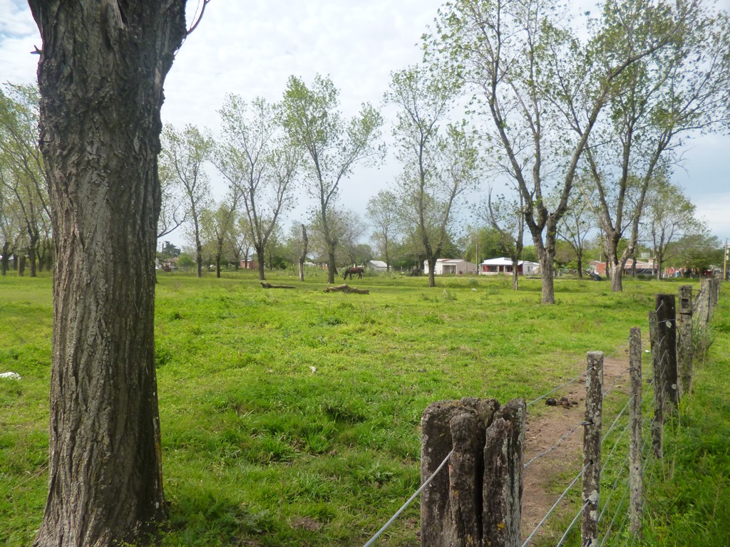 VENTA DE LOTES EN LA LOCALIDAD DE HERRERA - 2
