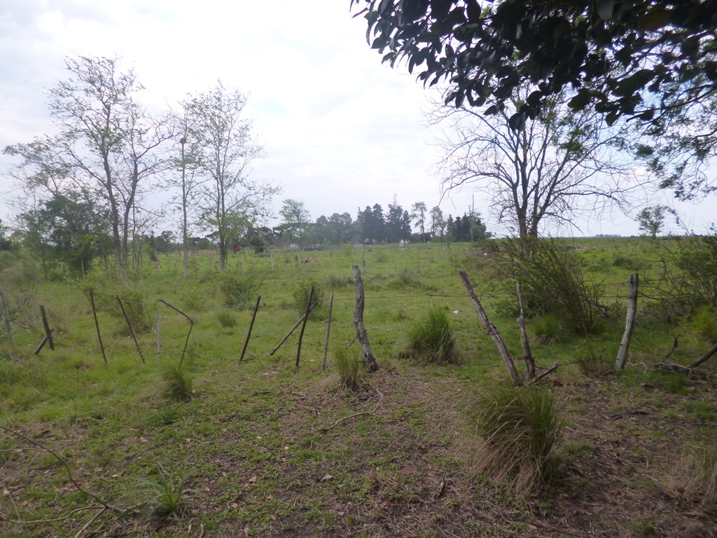 VENTA DE LOTES EN LA LOCALIDAD DE HERRERA - 5