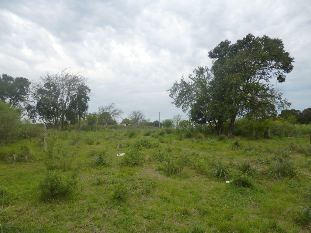VENTA DE LOTES EN LA LOCALIDAD DE HERRERA - 6