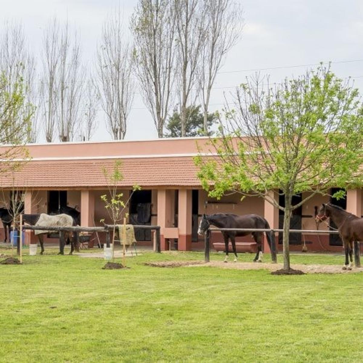 VENTA - LOTE - CON FINANCIACION - HARAS DEL SOL - PILAR - 6