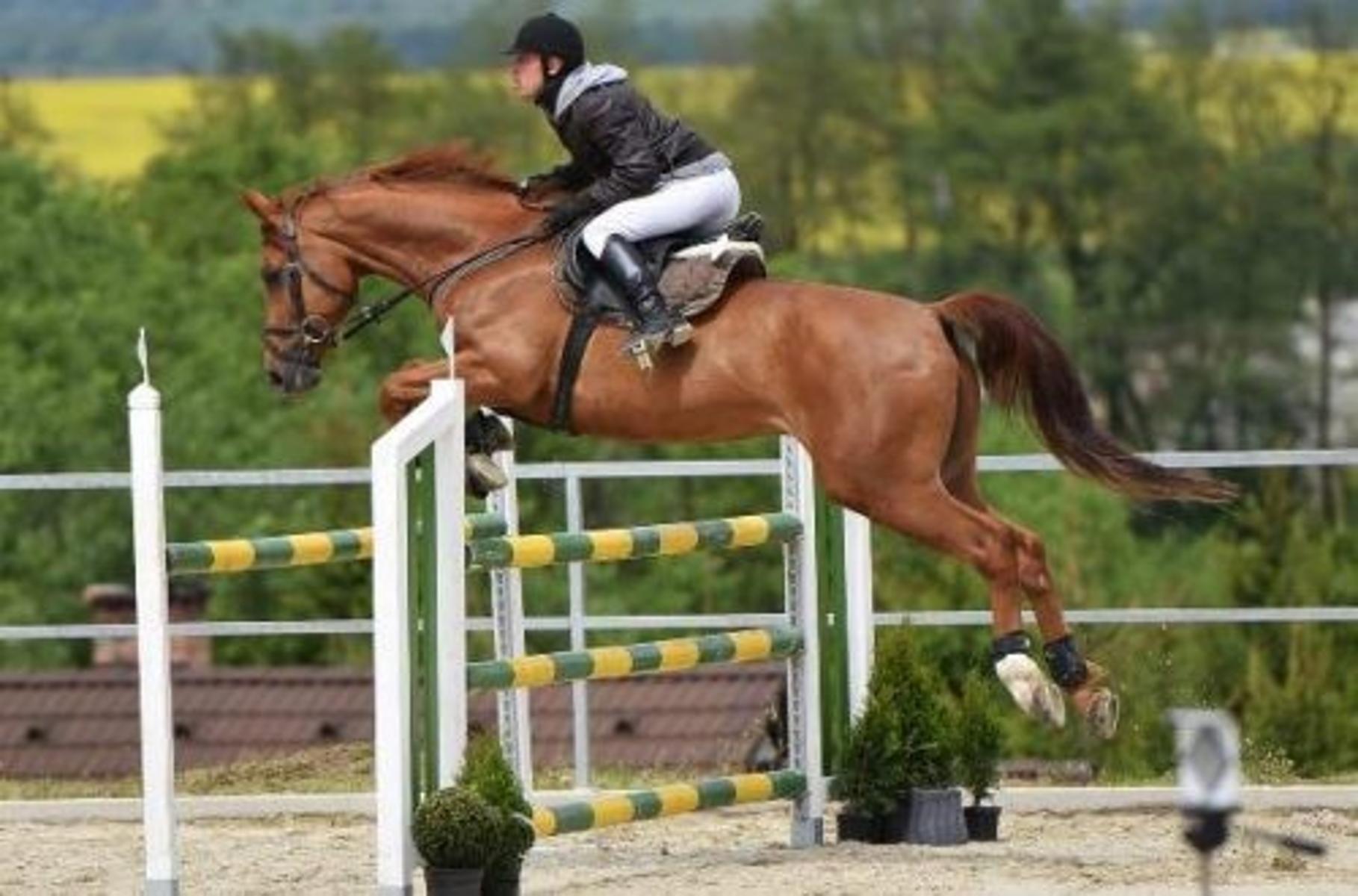 VENTA - LOTE - CON FINANCIACION - HARAS DEL SOL - PILAR - 7