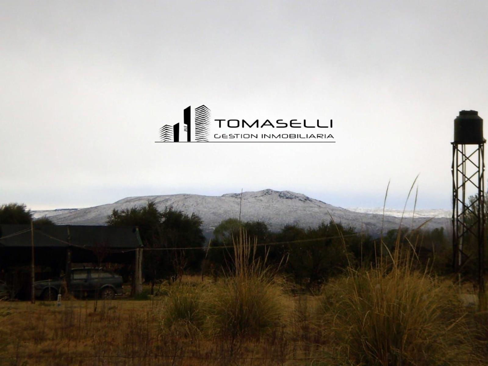 VENTA - FINCA CON CASA Y PLANTACION- RAMA CAIDA - MENDOZA - 1