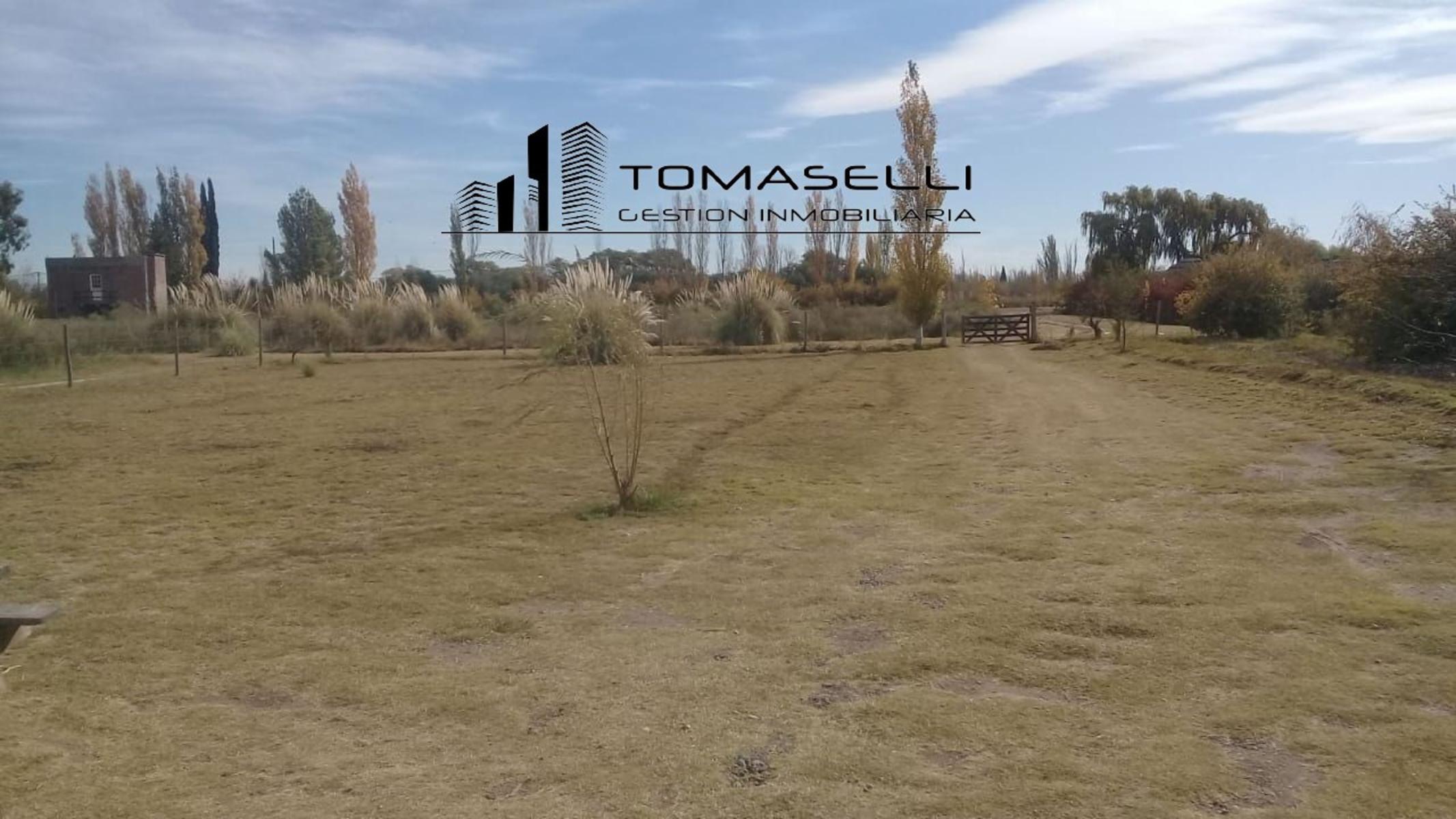 VENTA - FINCA CON CASA Y PLANTACION- RAMA CAIDA - MENDOZA - 2