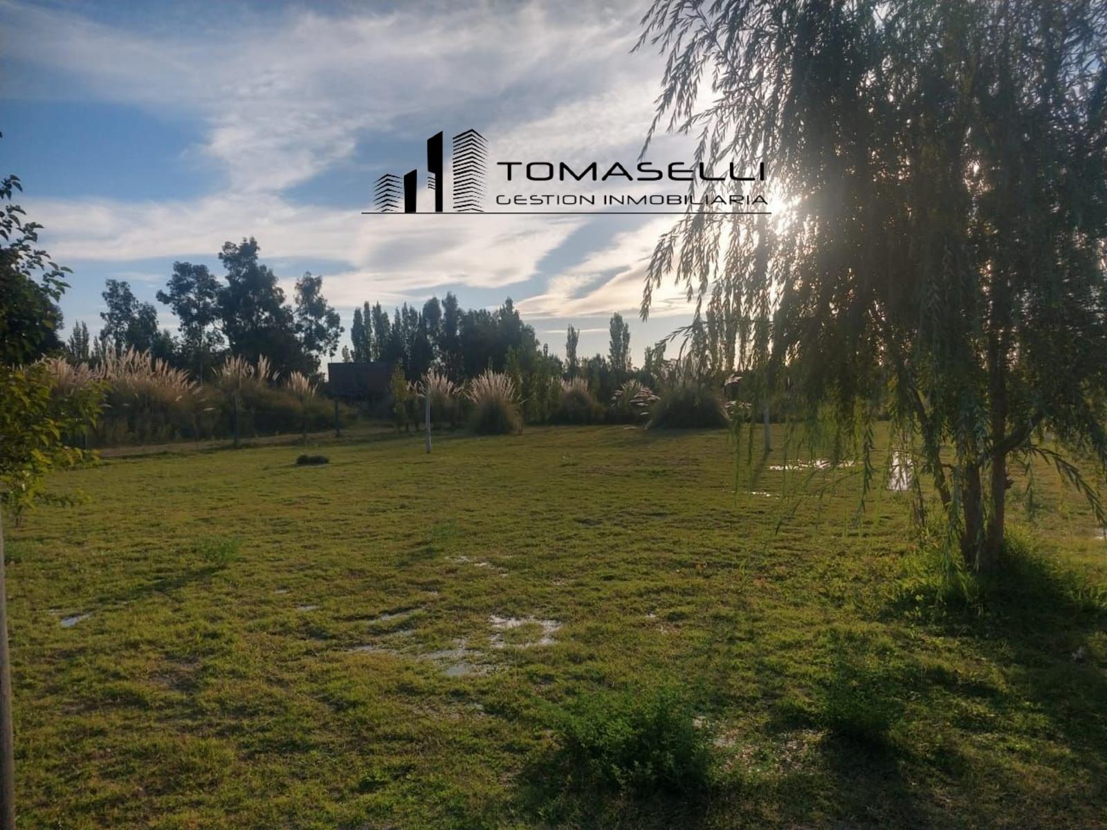 VENTA - FINCA CON CASA Y PLANTACION- RAMA CAIDA - MENDOZA - 3