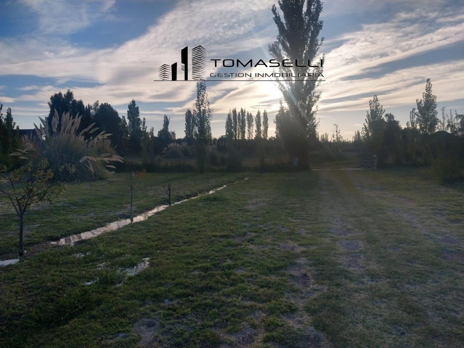 VENTA - FINCA CON CASA Y PLANTACION- RAMA CAIDA - MENDOZA - 4