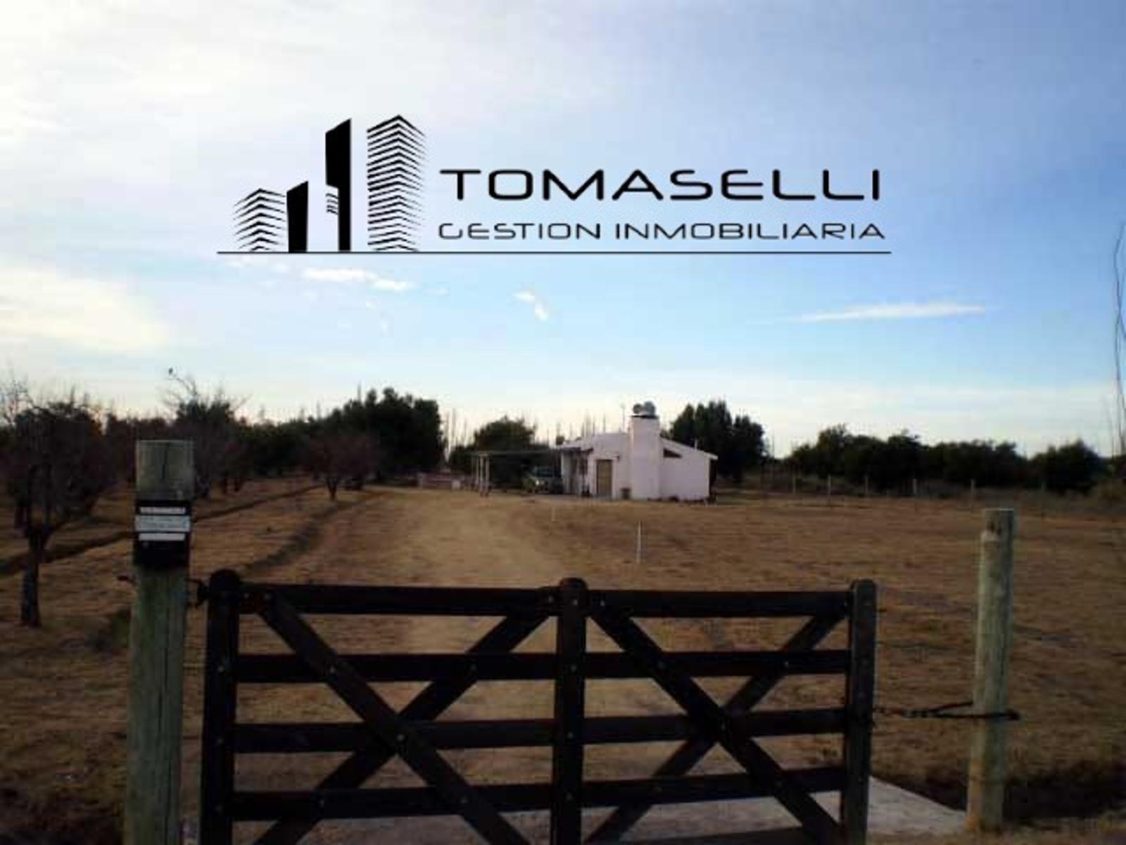 VENTA - FINCA CON CASA Y PLANTACION- RAMA CAIDA - MENDOZA - 5