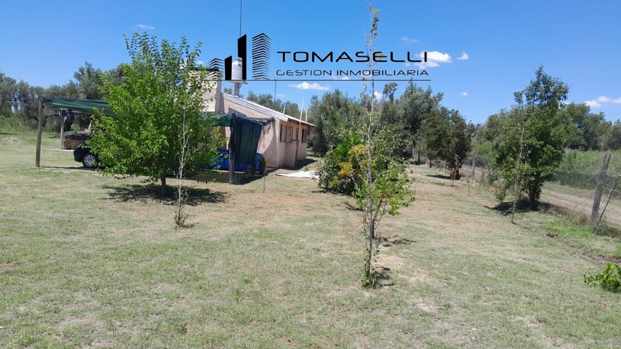 VENTA - FINCA CON CASA Y PLANTACION- RAMA CAIDA - MENDOZA - 6