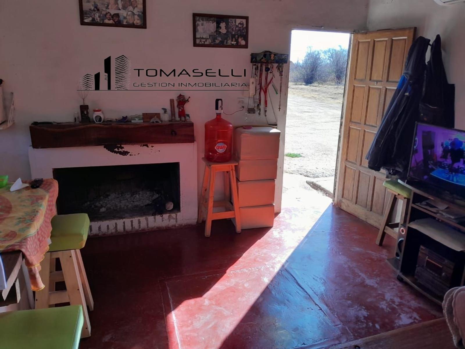VENTA - FINCA CON CASA Y PLANTACION- RAMA CAIDA - MENDOZA - 9