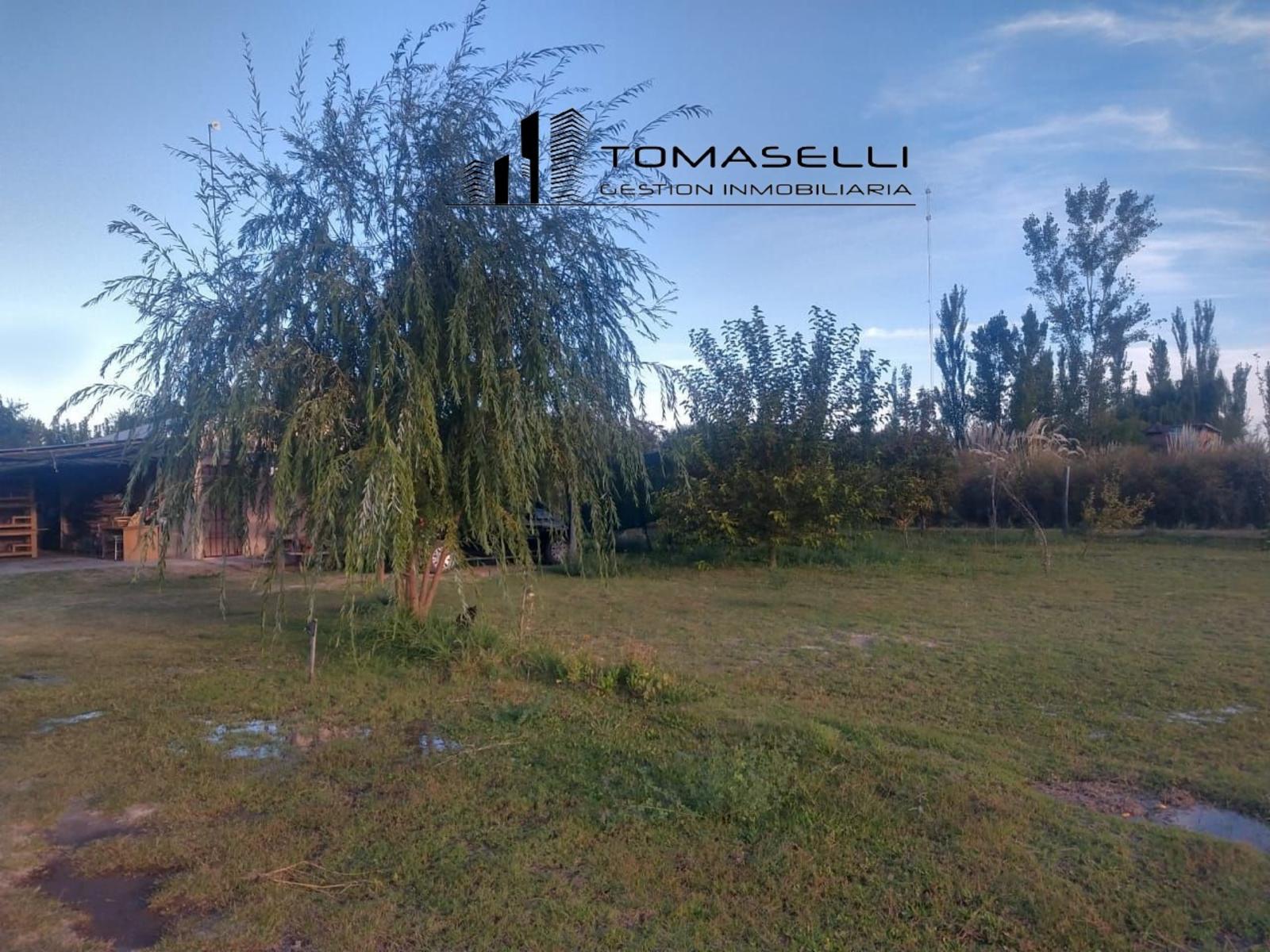 VENTA - FINCA CON CASA Y PLANTACION- RAMA CAIDA - MENDOZA - 13
