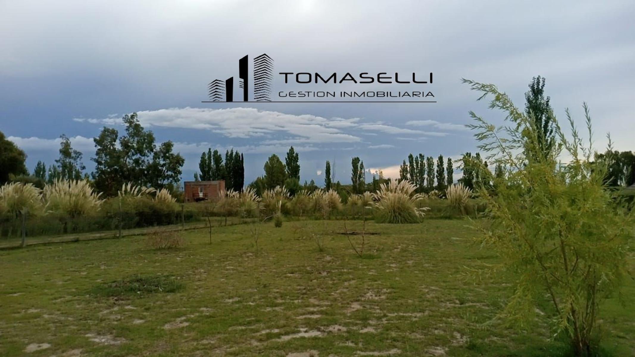 VENTA - FINCA CON CASA Y PLANTACION- RAMA CAIDA - MENDOZA - 14