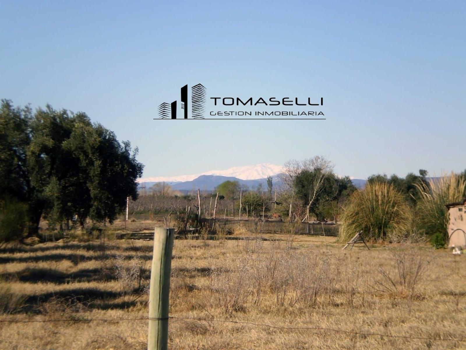 VENTA - FINCA CON CASA Y PLANTACION- RAMA CAIDA - MENDOZA - 15