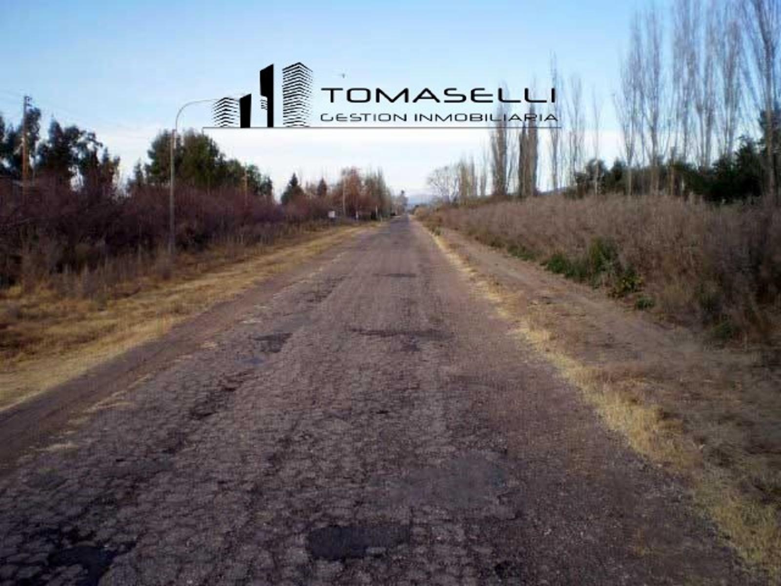 VENTA - FINCA CON CASA Y PLANTACION- RAMA CAIDA - MENDOZA - 16