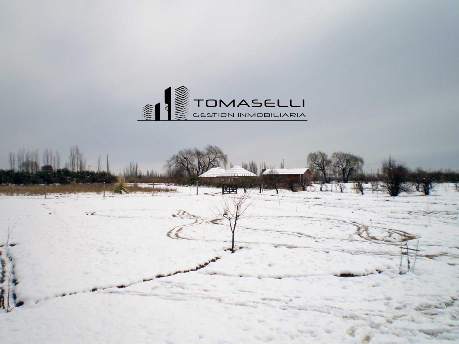 VENTA - FINCA CON CASA Y PLANTACION- RAMA CAIDA - MENDOZA - 17